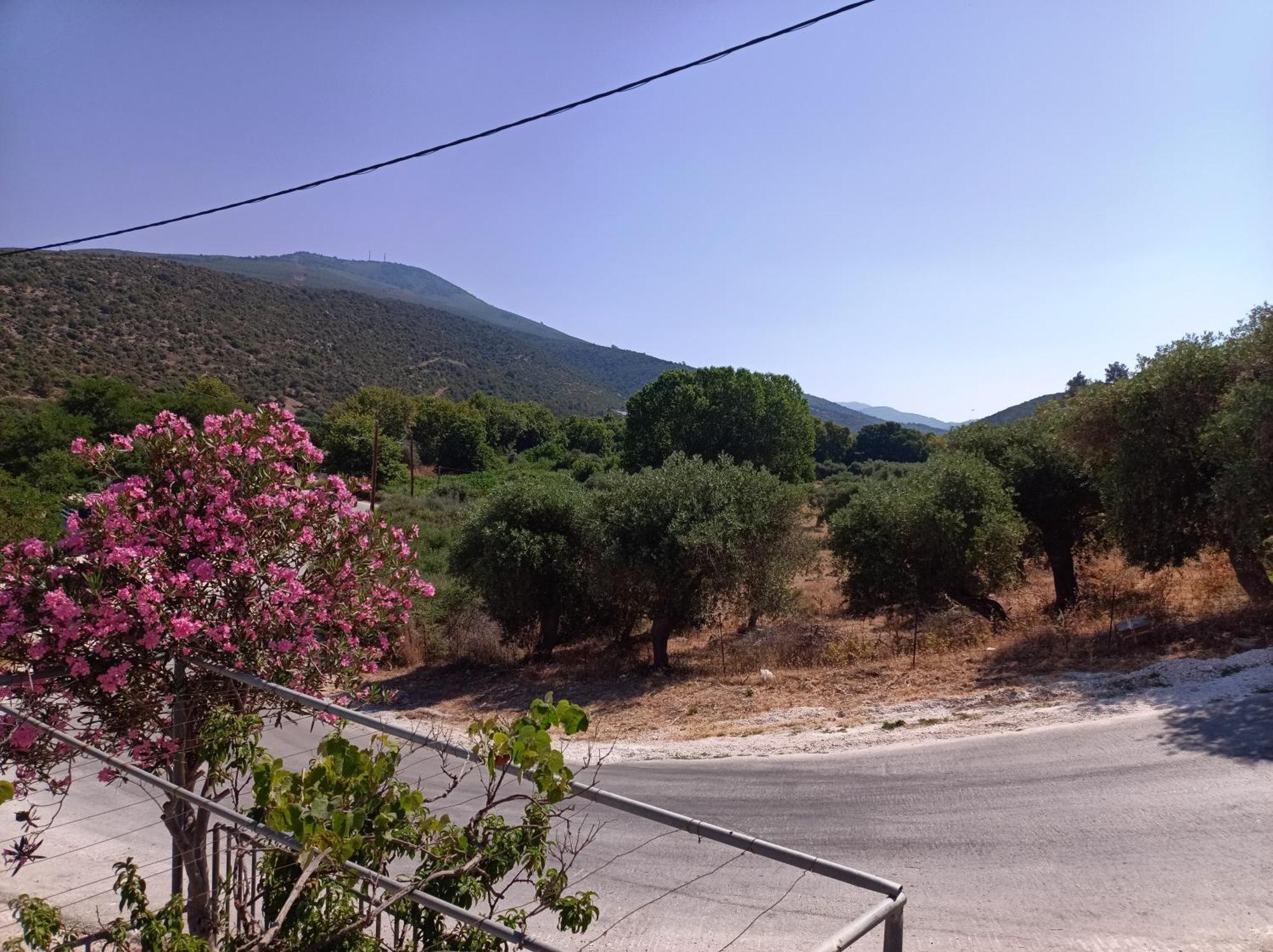 Sunny Day Studios Skála Marión Εξωτερικό φωτογραφία